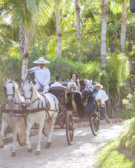 A horse carriage is taking Boogie and her son, Kobe, to her wedding with Trey (not in the picture).