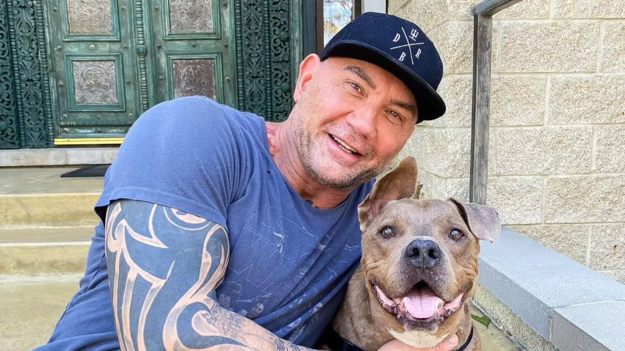Dave Bautista is not gay.