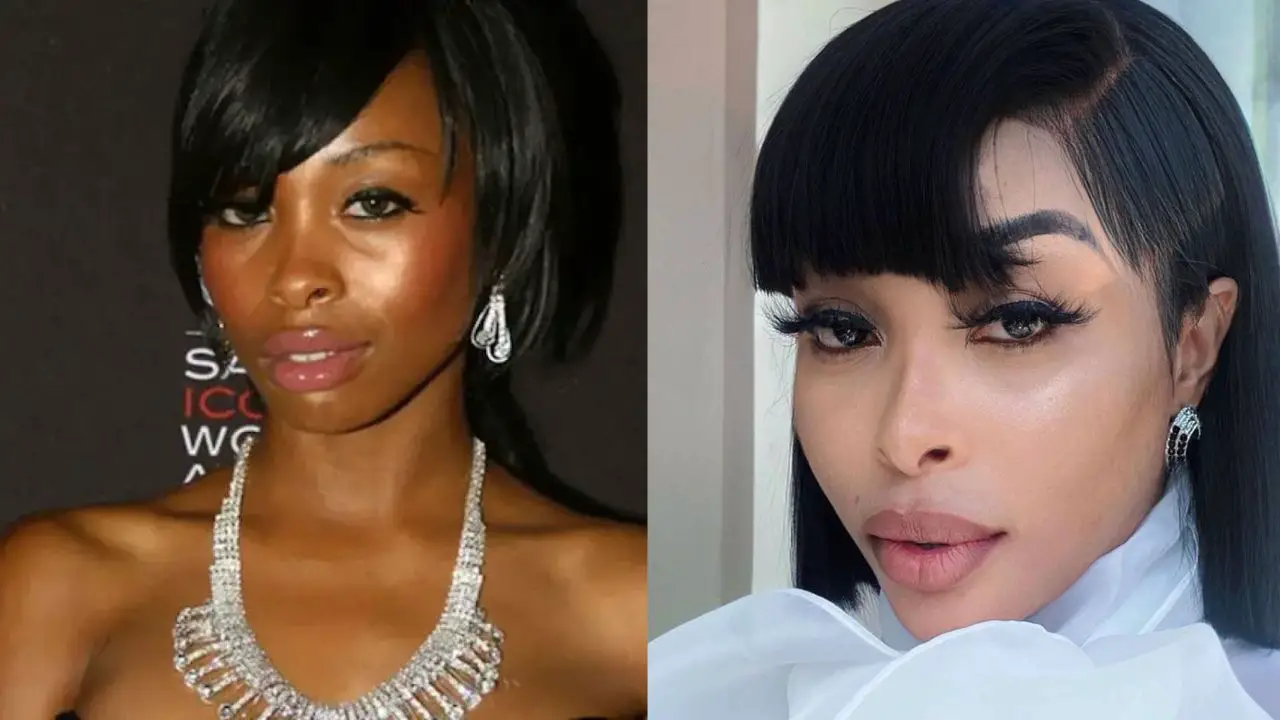 Bleaching Accusations in Young, Famous and African: Zari Hassan & Khanyi Mbau Bleached Their Skin? celebsindepth.com