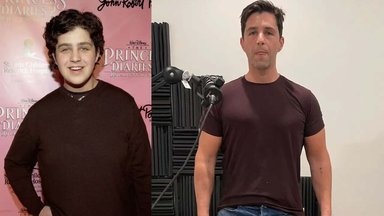 Josh Peck's Plastic Surgery: Before and After Pictures! celebsindepth.com