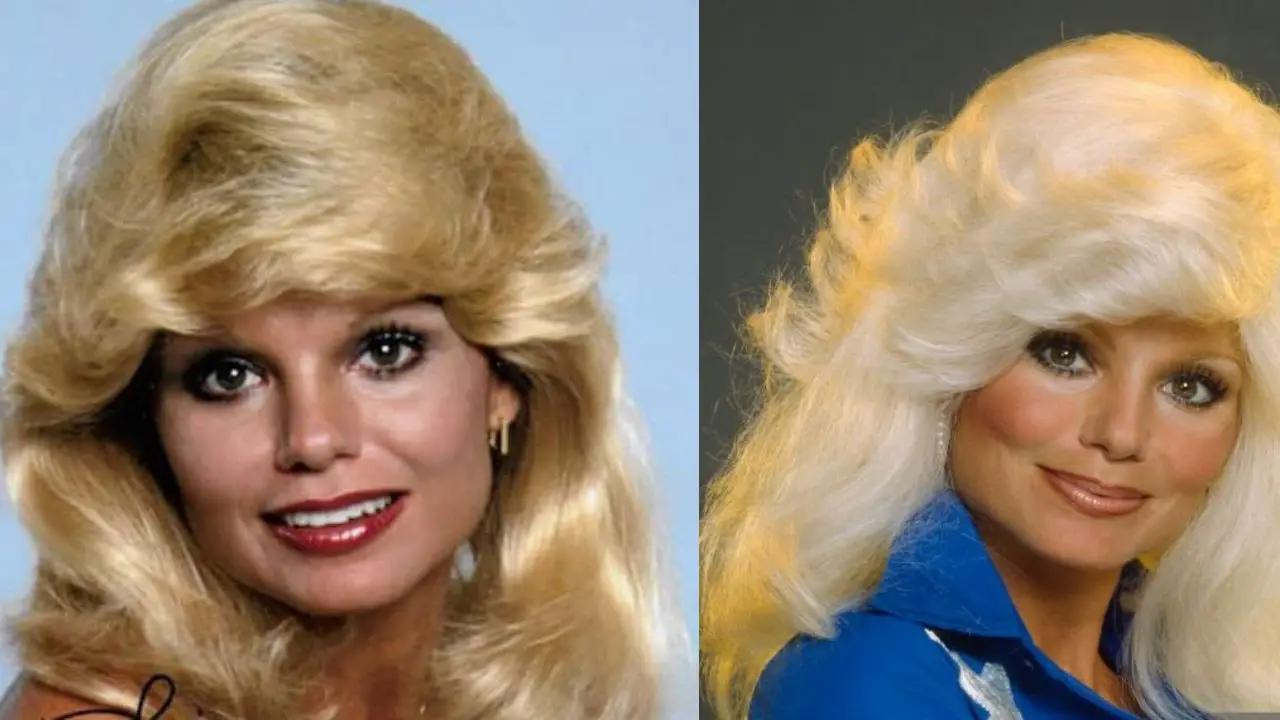 Plastic Surgery Resulted in Loni Anderson’s Timeless Beauty! celebsindepth.com