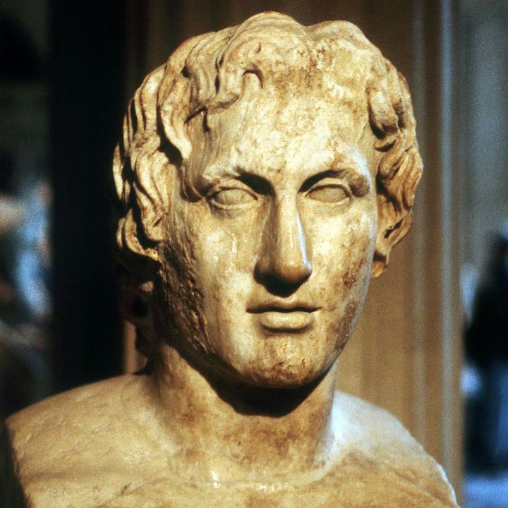 Alexander the Great had dark blond, curly hair. celebsindepth.com