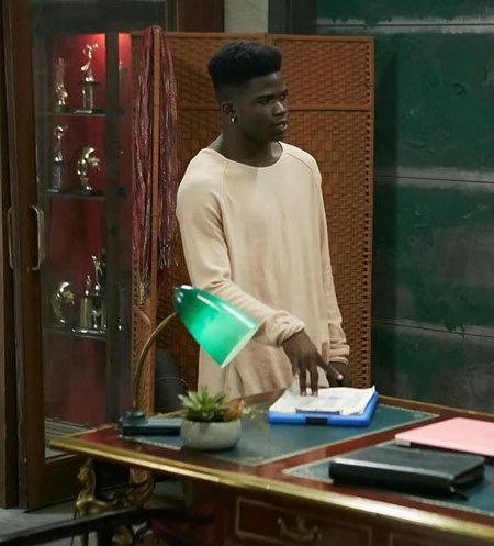 Akiel Julien played LaTroy in the dancing series The Next Step for 35 episodes.