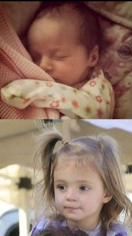 Daniel Gillies' kids; daughter Charlotte Easton Gillies and son Theodore Vigo Sullivan Gillies.