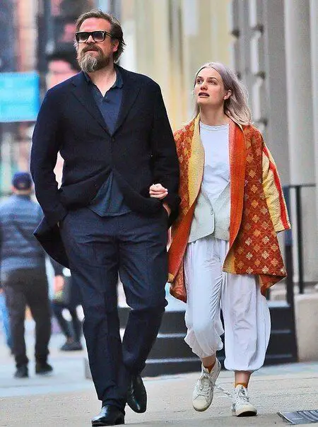 Fans were disappointed following Alison Sudol and David Harbour's break up.