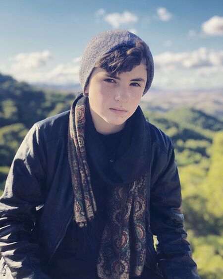 Jace Chapman's net worth is bound to rise in the coming days following his lead role as Noah Ferris in The Healing Powers of Dude.