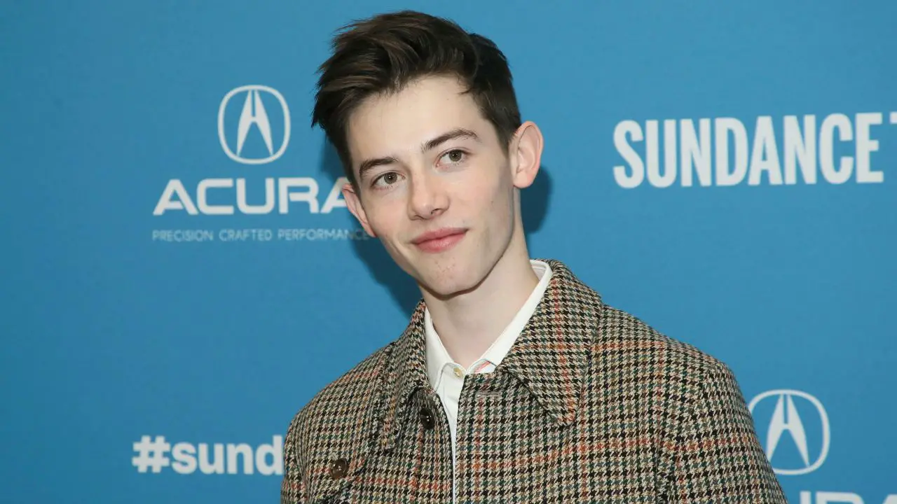 Griffin Gluck plays the role of Luke Chamber in Cruel Summer. celebsindepth.com