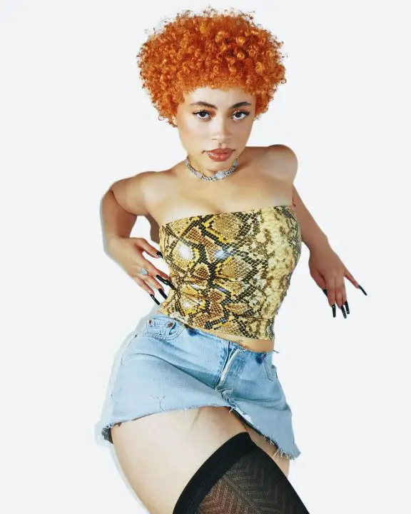 Ice Spice was criticized for showing autism in different ways in her movie. celebsindepth.com