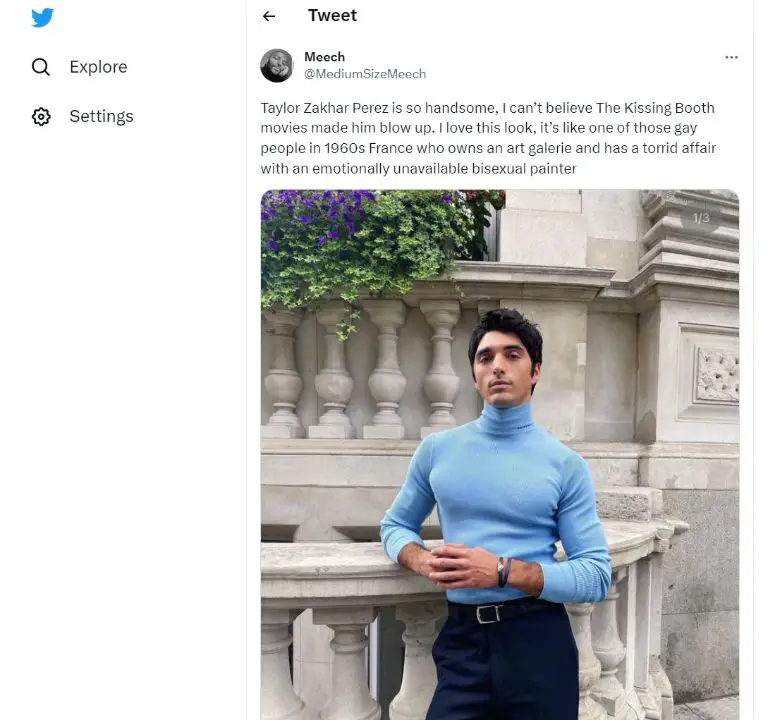 Fans have been speculating that Taylor Zakhar Perez might be gay in real life as well. celebsindepth.com