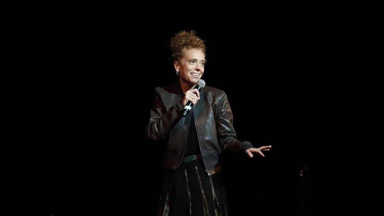 Michelle Wolf's pregnancy rumors seem to be fake. celebsindepth.com