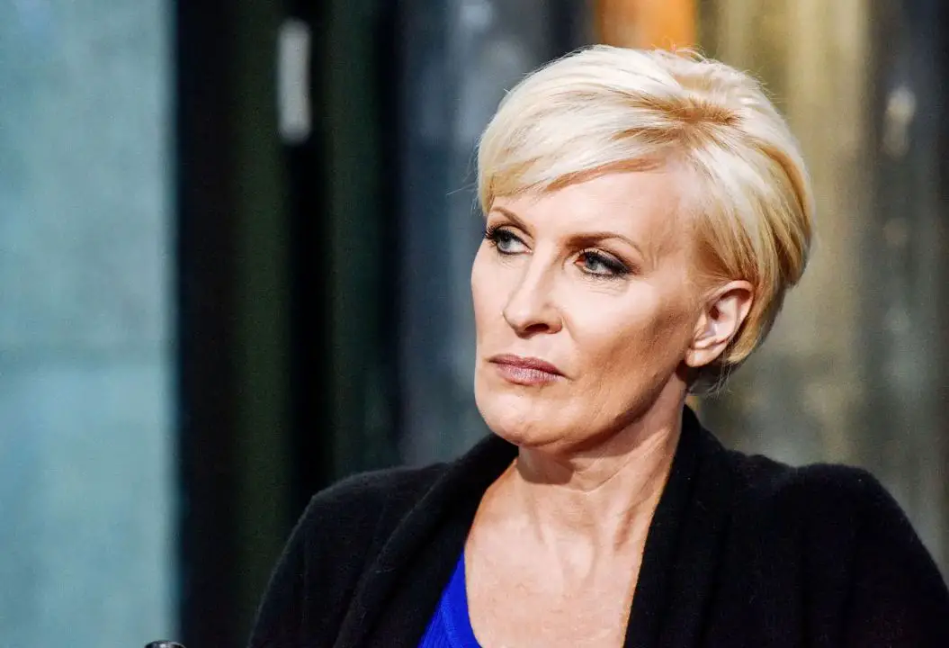 Mika Brzezinski before the plastic surgery. celebsindepth.com 