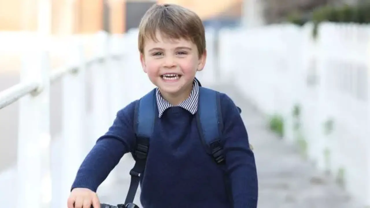 Prince Louis looks grown up in his recent pictures. celebsindepth.com