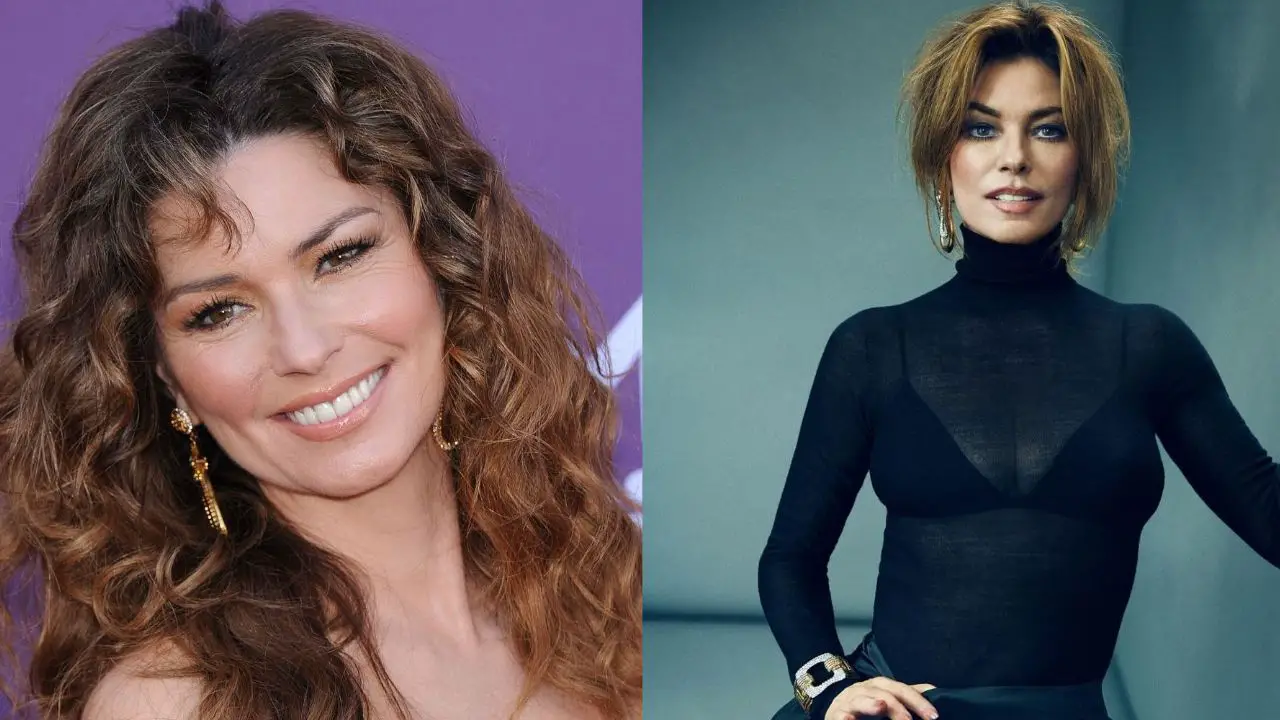 Shania Twain denied the rumors of having plastic surgery. celebsindepth.com