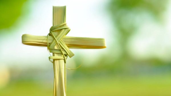 Palm Sunday Meaning: Mass Times 2026, Catholic Church, Color