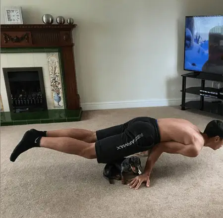 Daniel does a hand-stand over his dog.