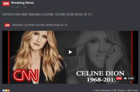 The screenshot from the website that spread Celine Dion's death hoax.