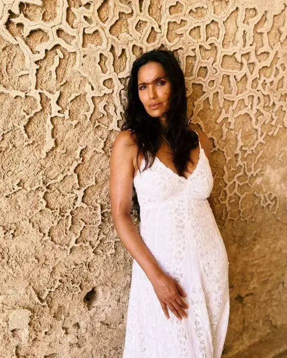 Padma Lakshmi has a visible scar on her right arm. celebsindepth.com