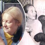 Koko Gorilla, Jane Goodall: Chimpanzee Sign Language, Kitten